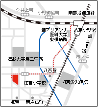 武蔵小杉駅から